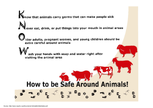 Animal Exhibit Safety (English)