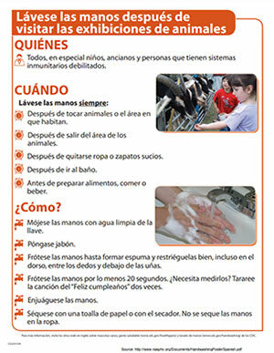 Hand Washing Poster (Spanish)