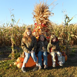 Kids in Corn Maze