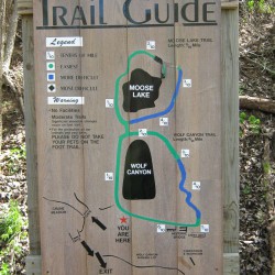 Trail Sign