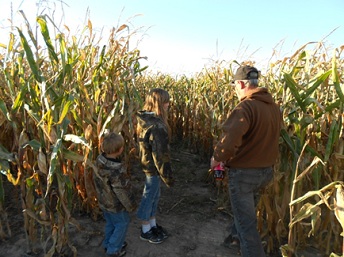 Corn Maze Safety Walkthrough 6
