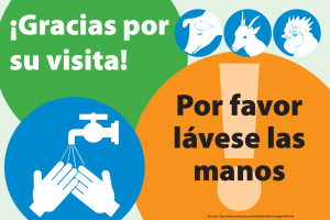 Thank You Wash Hands (Spanish)